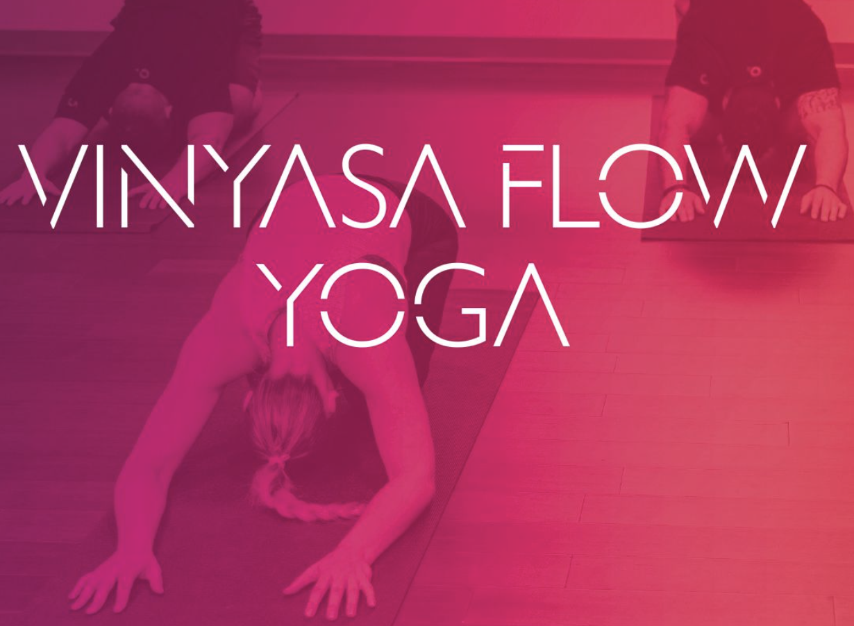 West Ashley Vinyasa Flow west-ashley-vinyasa-flow